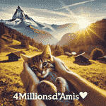 4Millionsdamis